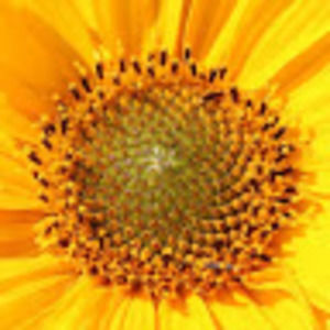 Meet your Posher, Michele